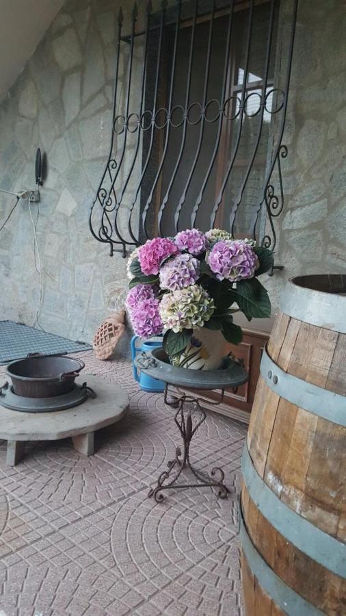 B&B La Corte Dei Samidagi Alessandria Ngoại thất bức ảnh